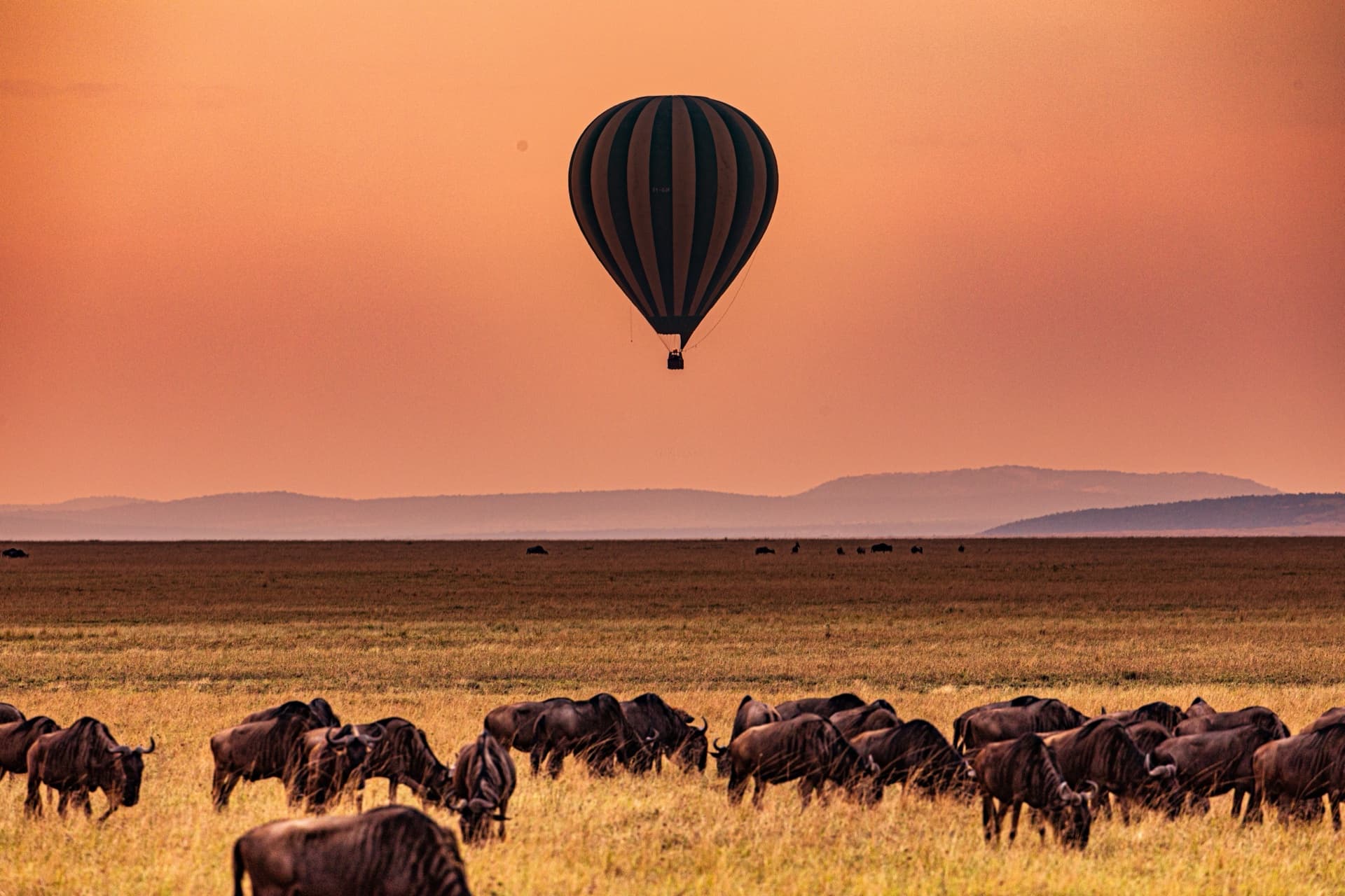 Maasai Mara
