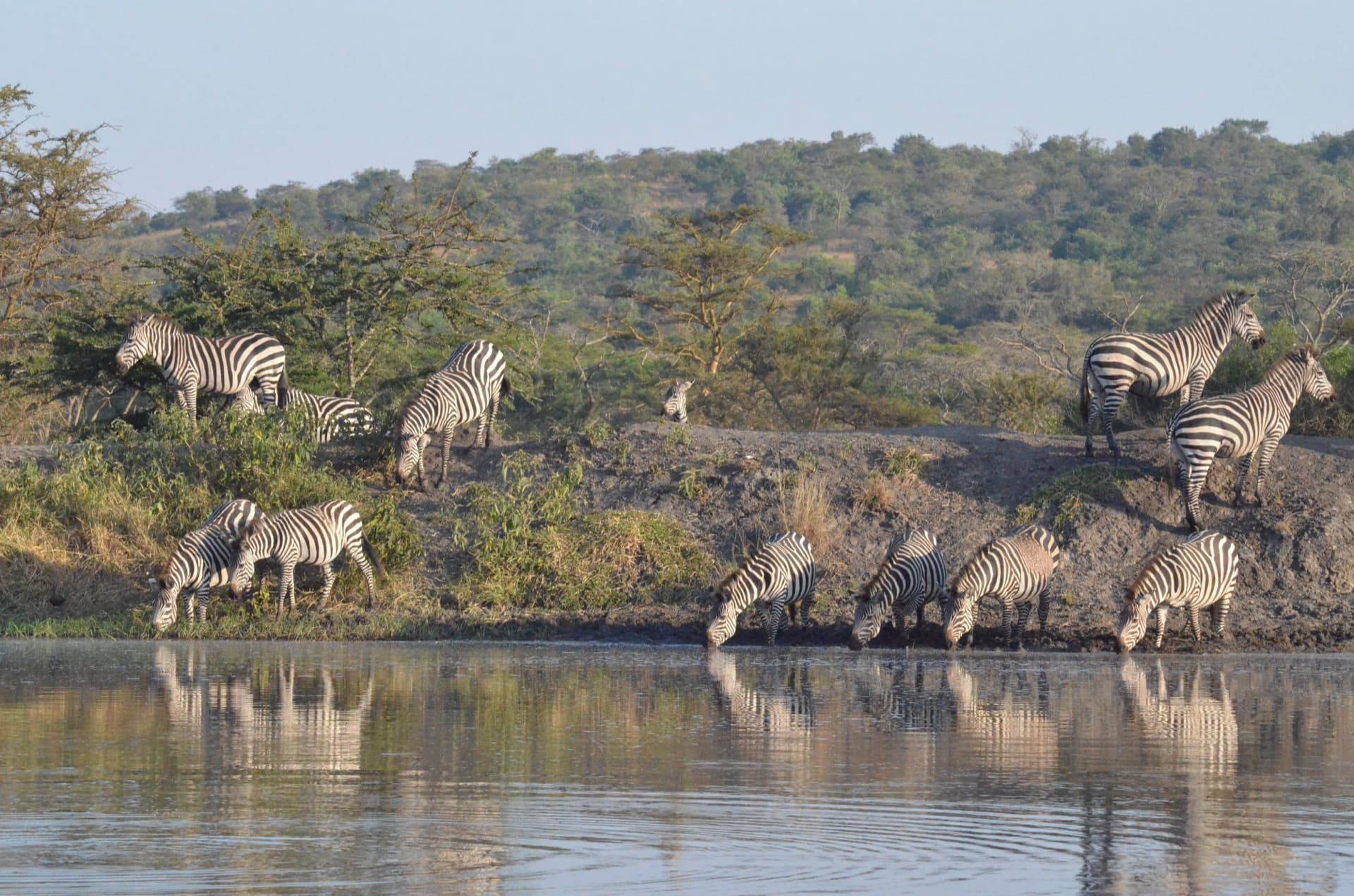 Lake Mburo