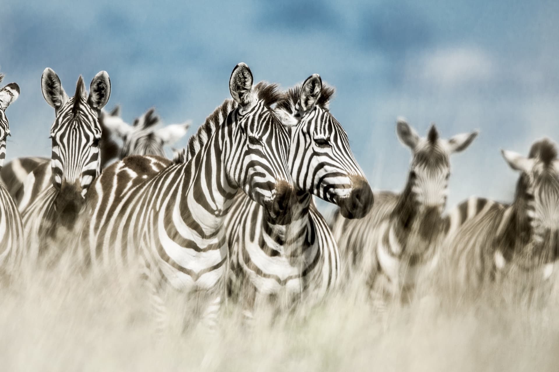 Top 5 Things to See in Tanzania: A Guide to Iconic Landscapes and Experiences