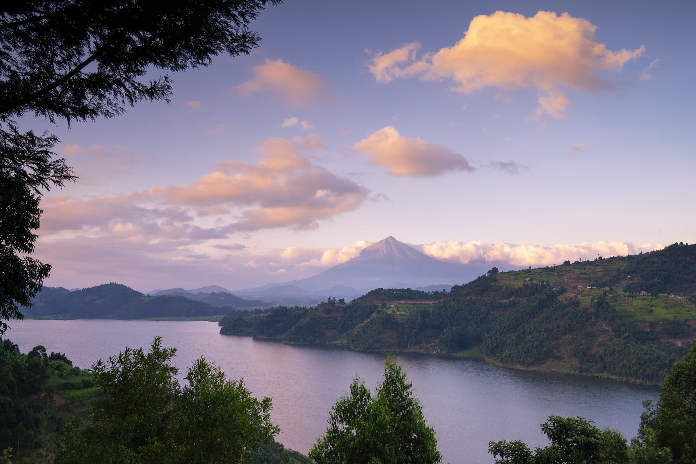 Lush Landscapes