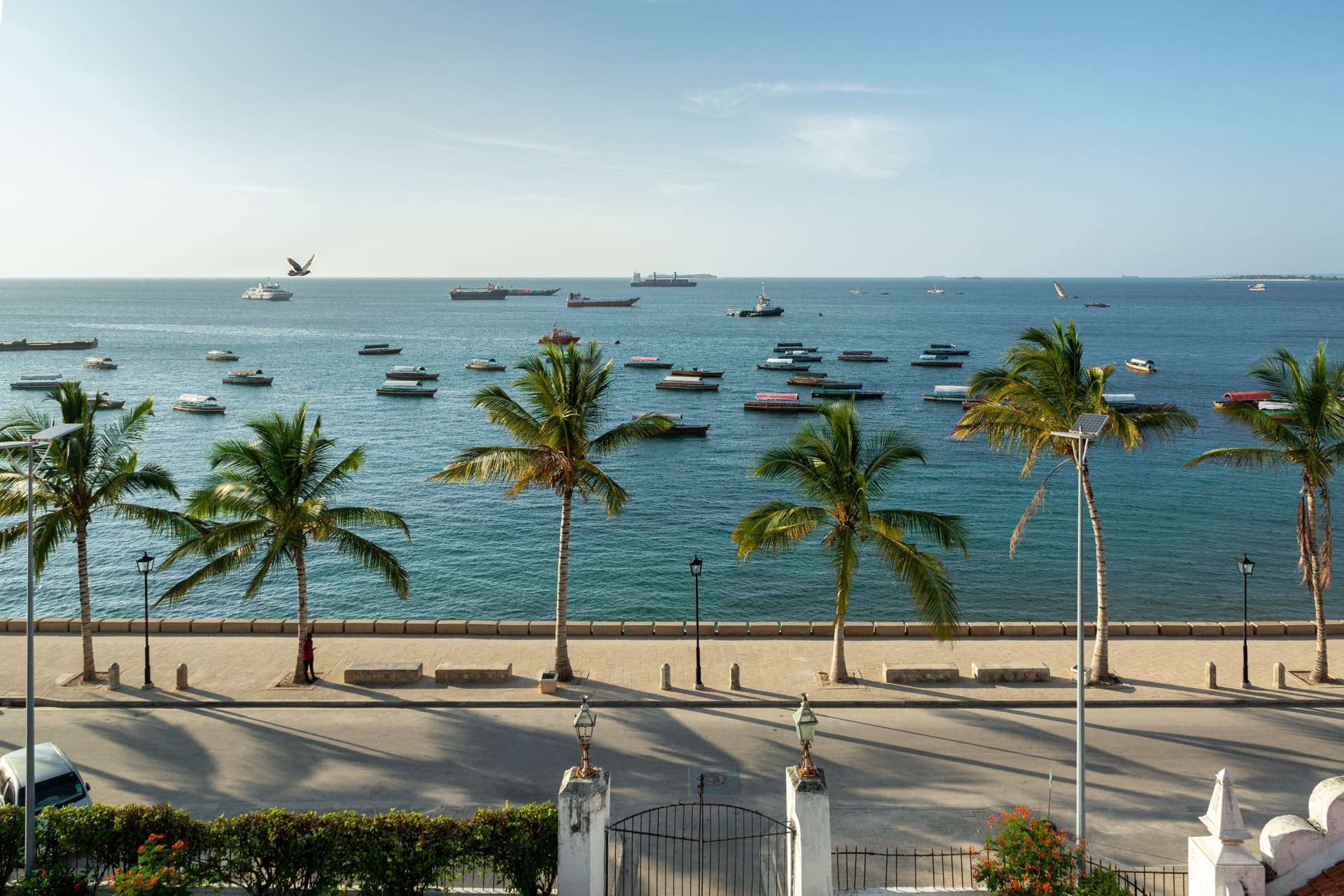 Safari destination: Zanzibar
