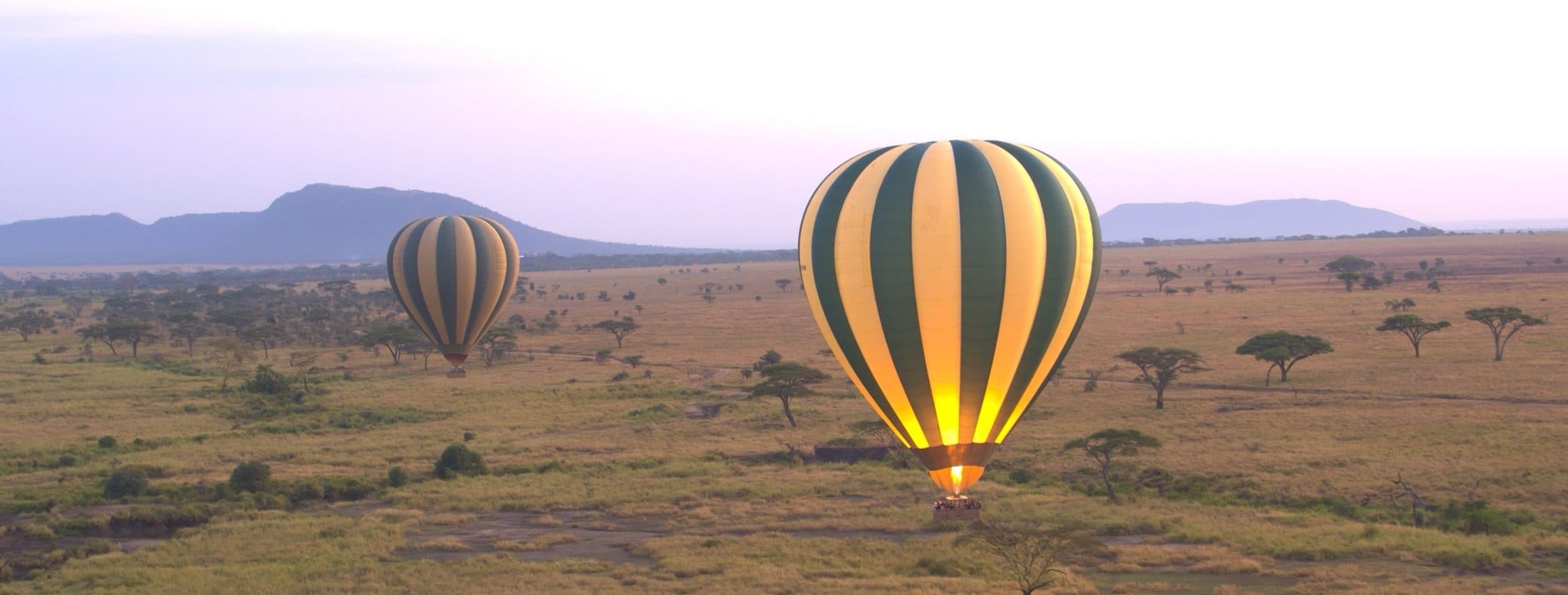 Contact Hemingways Safaris