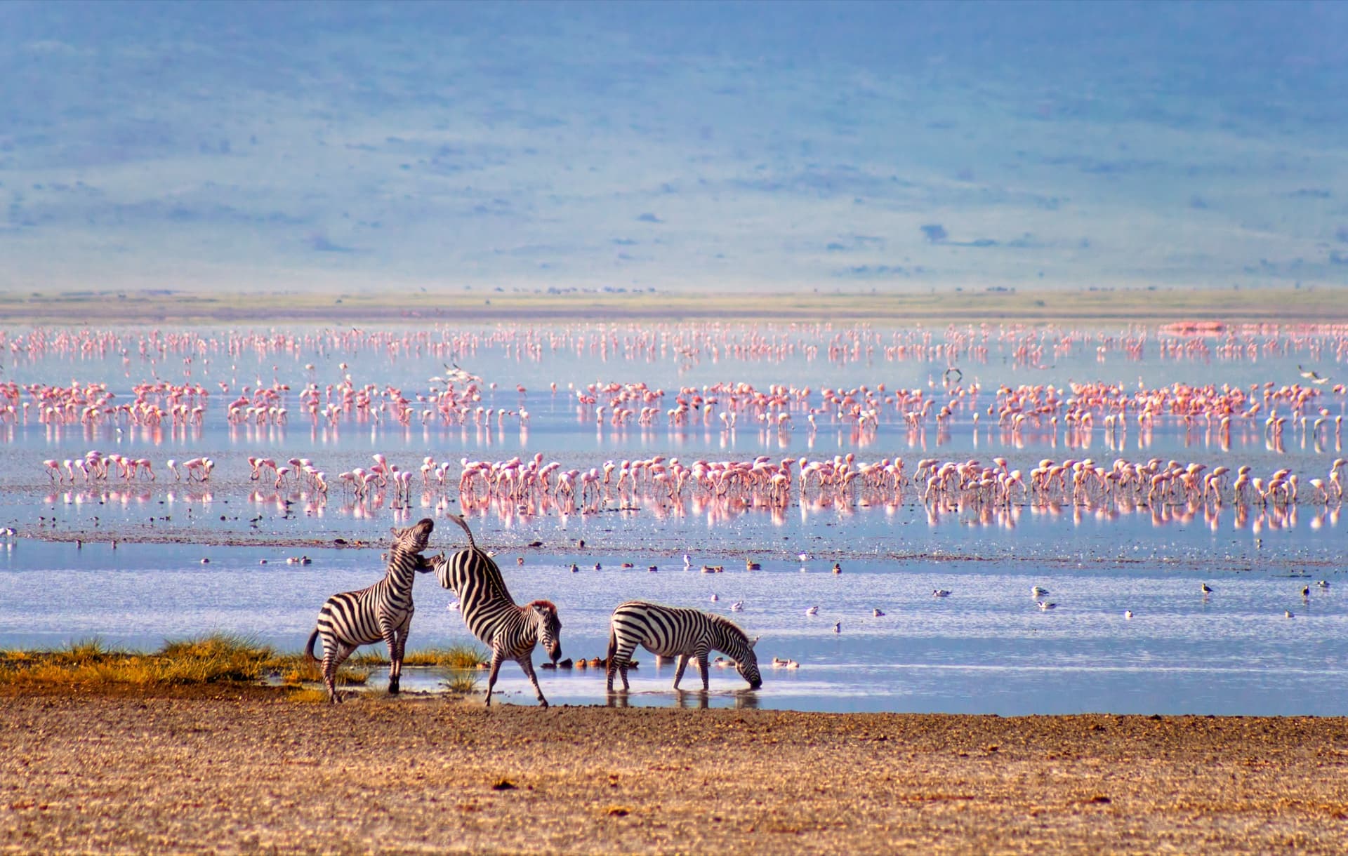 Ngorongoro Crater