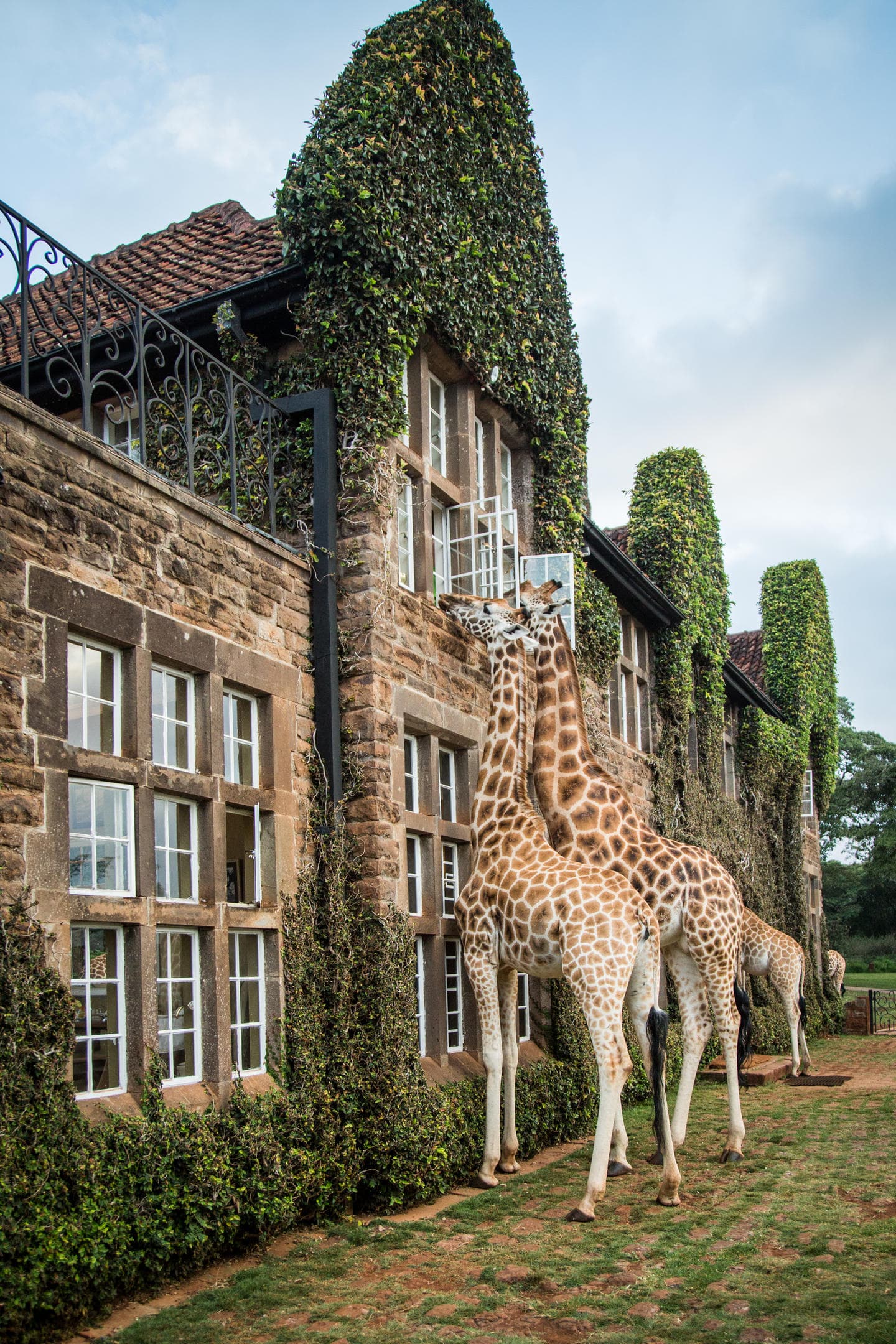 The Royal Circuit of Kenya’s Iconic Wilderness gallery image 1