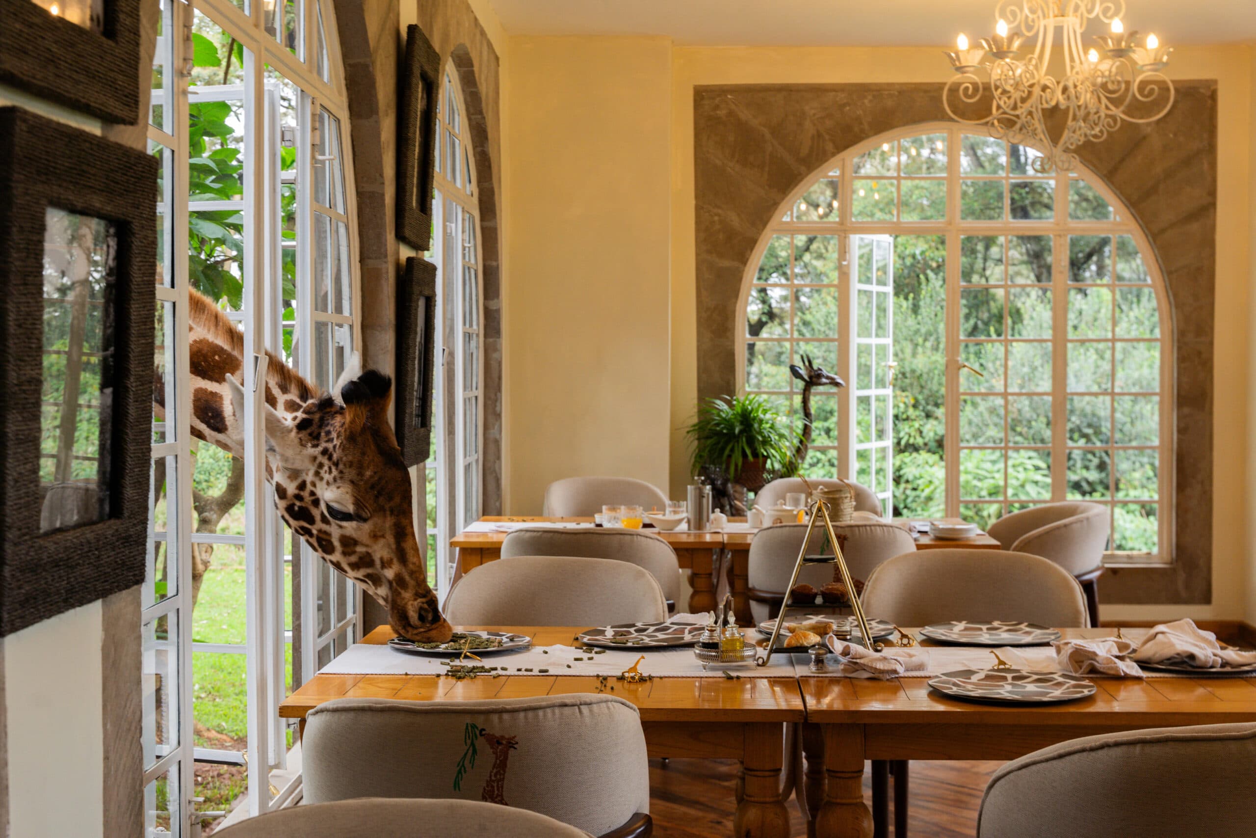 The Royal Circuit of Kenya’s Iconic Wilderness