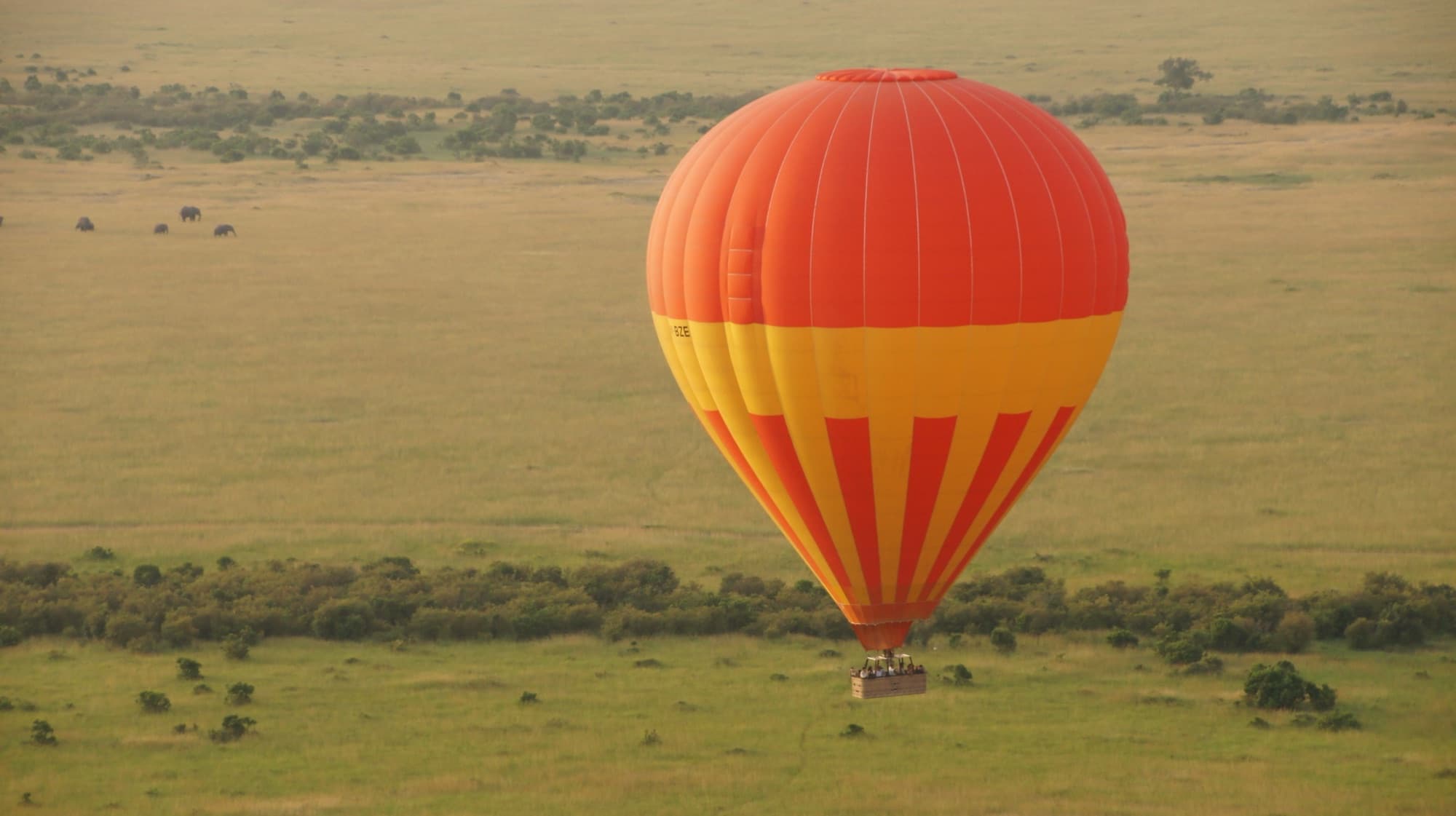 Beyond the Big Five: Unique Safari Experiences You Can Only Have in East Africa