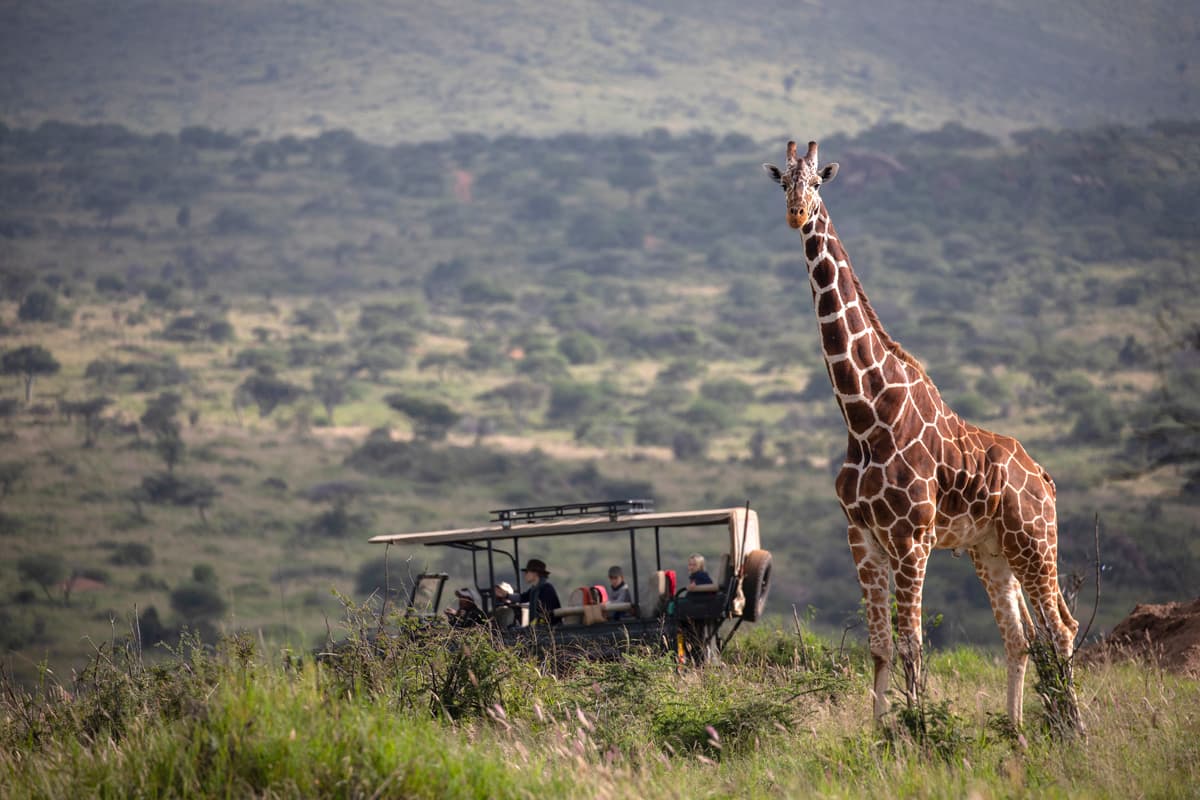 Grand Family Safari & Indian Ocean Escape gallery image 2