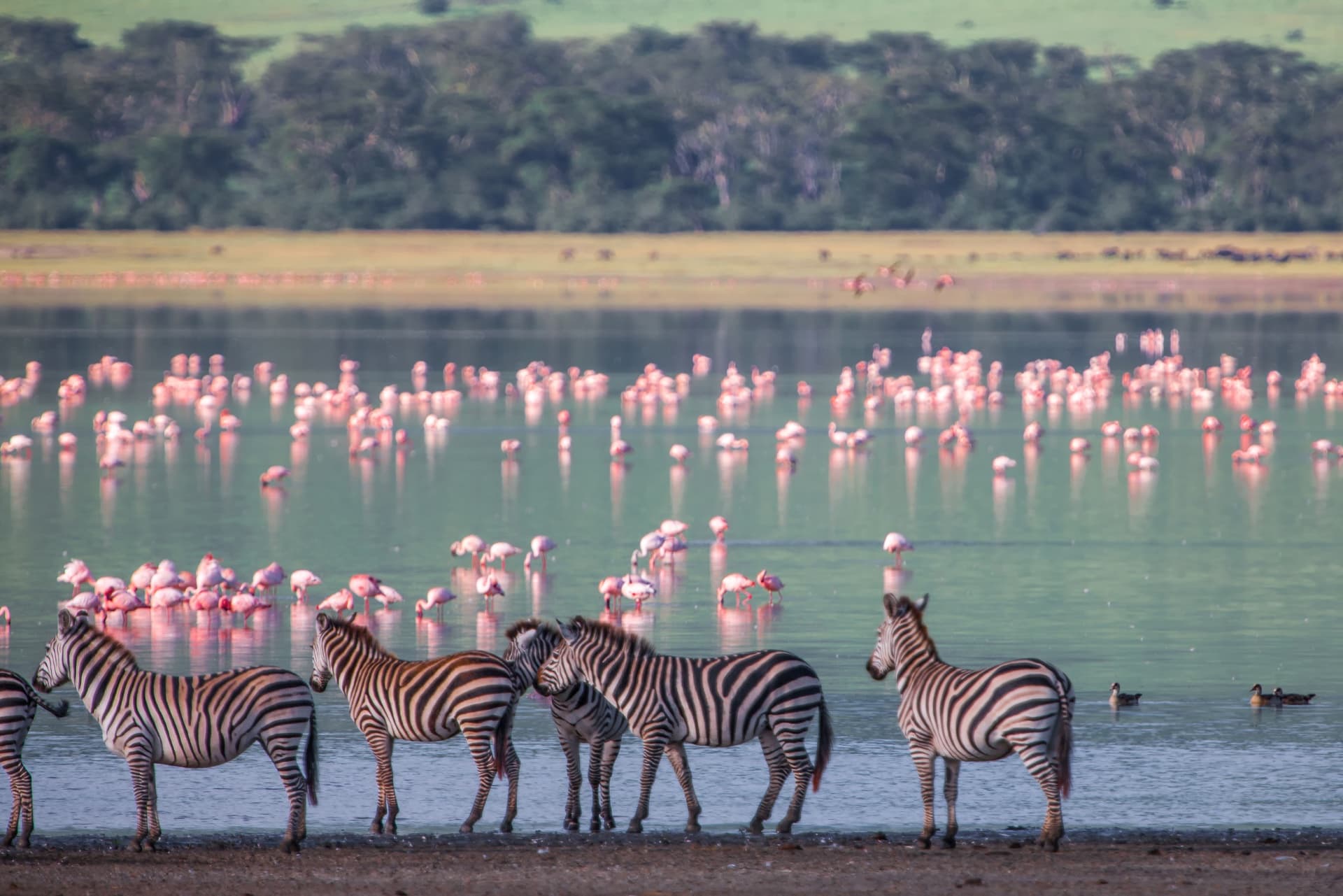 2. Ngorongoro Crater