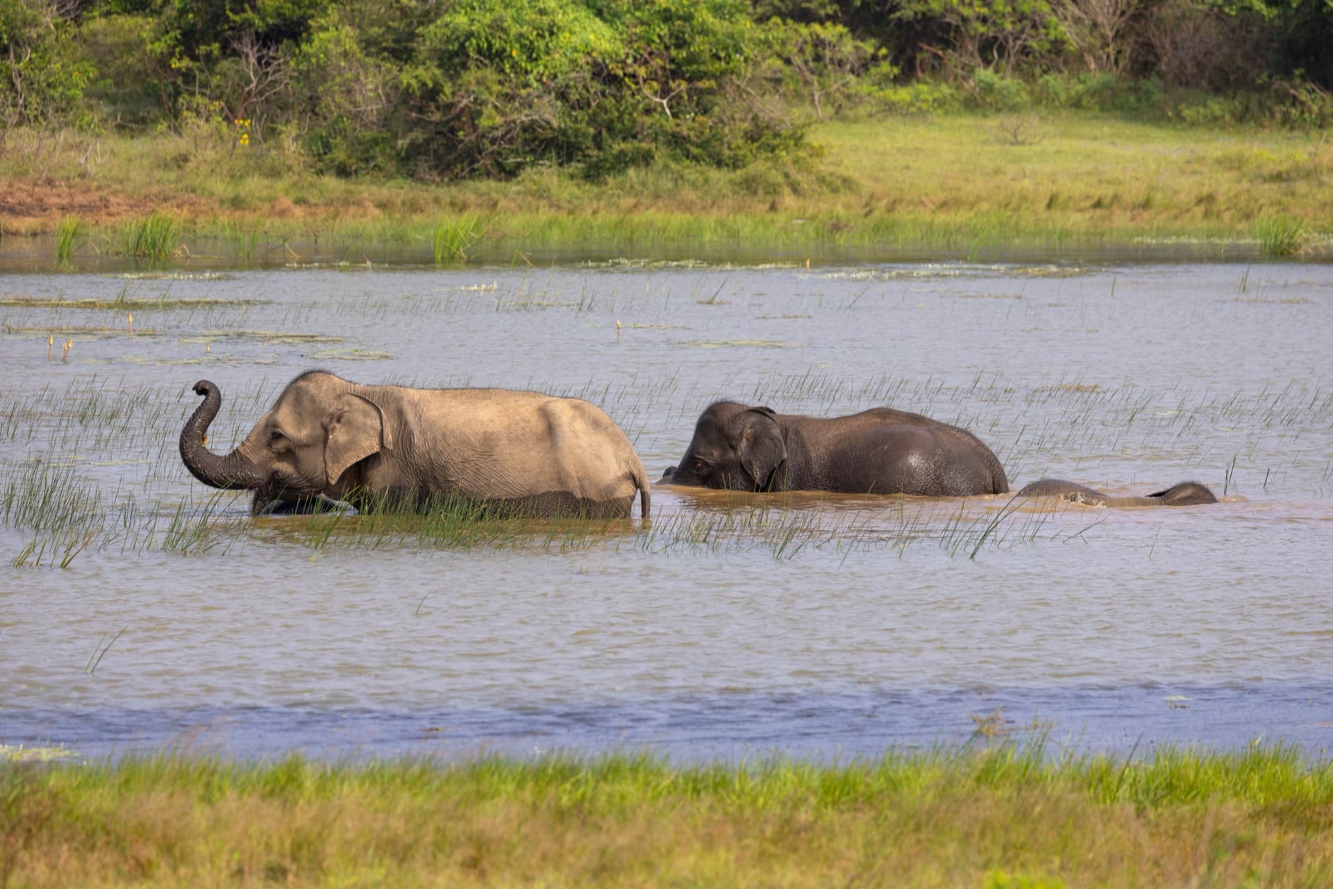Nyerere National Park