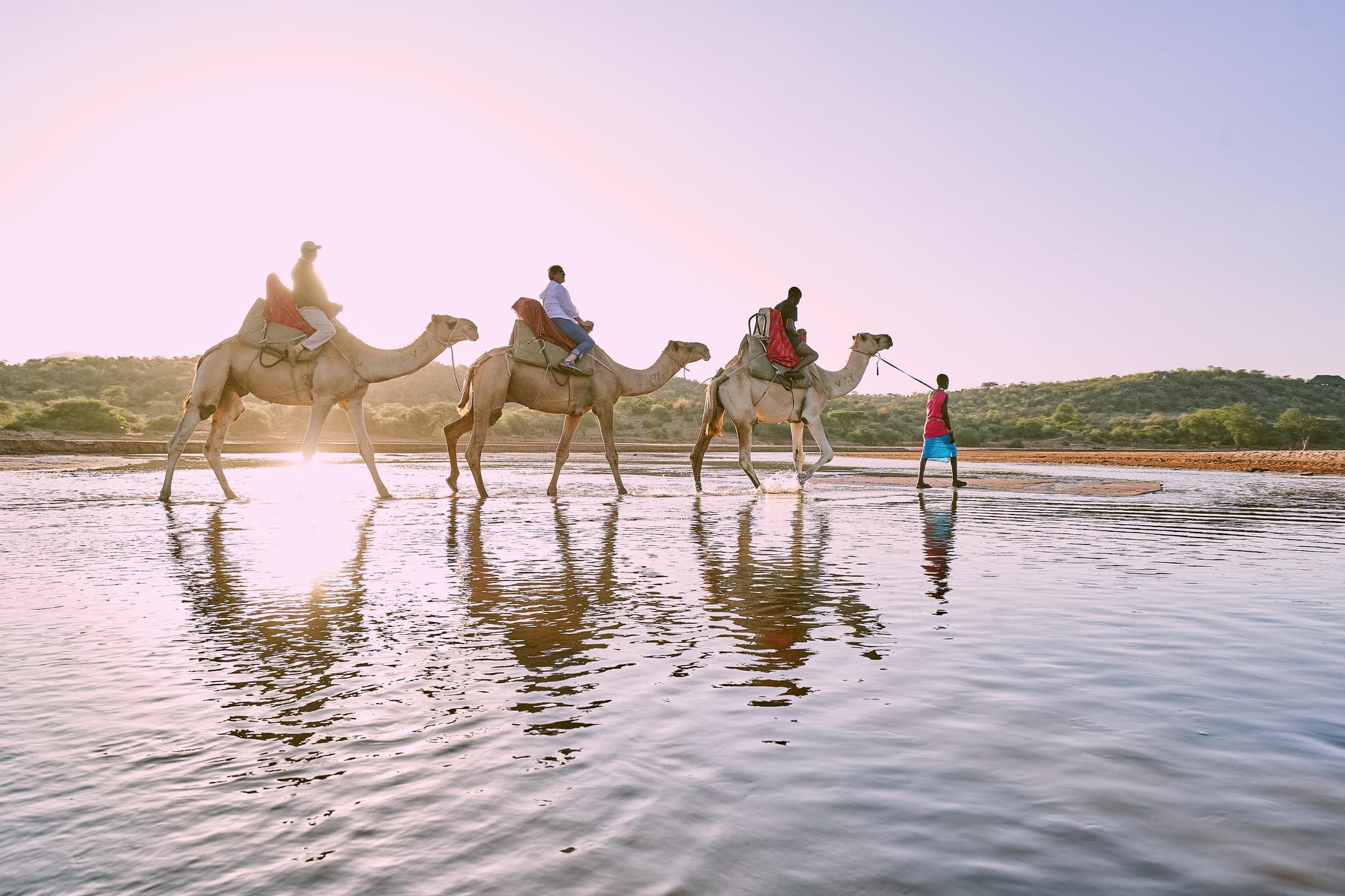Walking Safaris vs Camel Safaris in Kenya: Which Is Right for You?