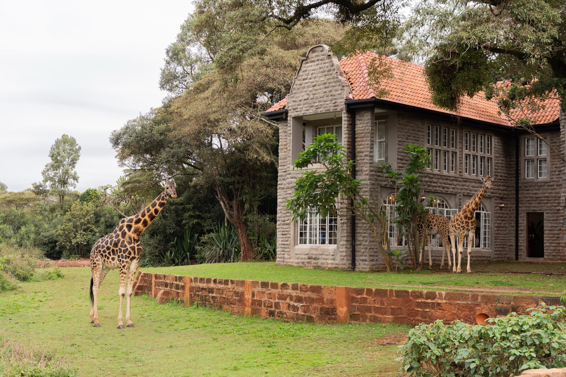 Arrival in Nairobi