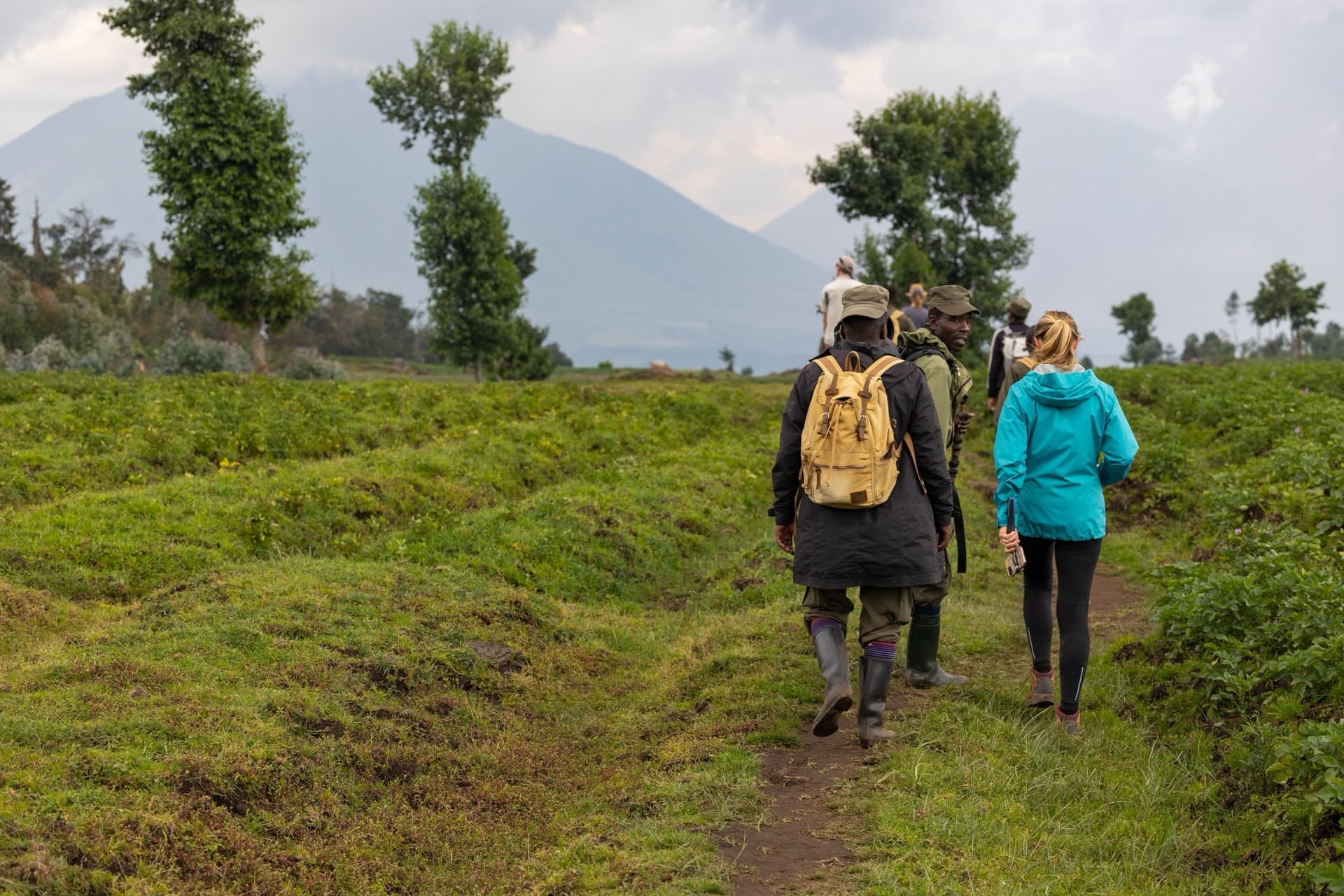 Rwanda Primates & Cultural Discovery gallery image 2