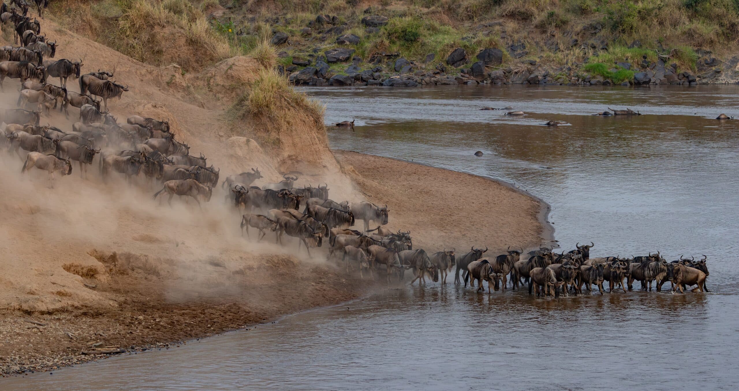 The Great Migration 2026: What Most First-Time Visitors Get Wrong