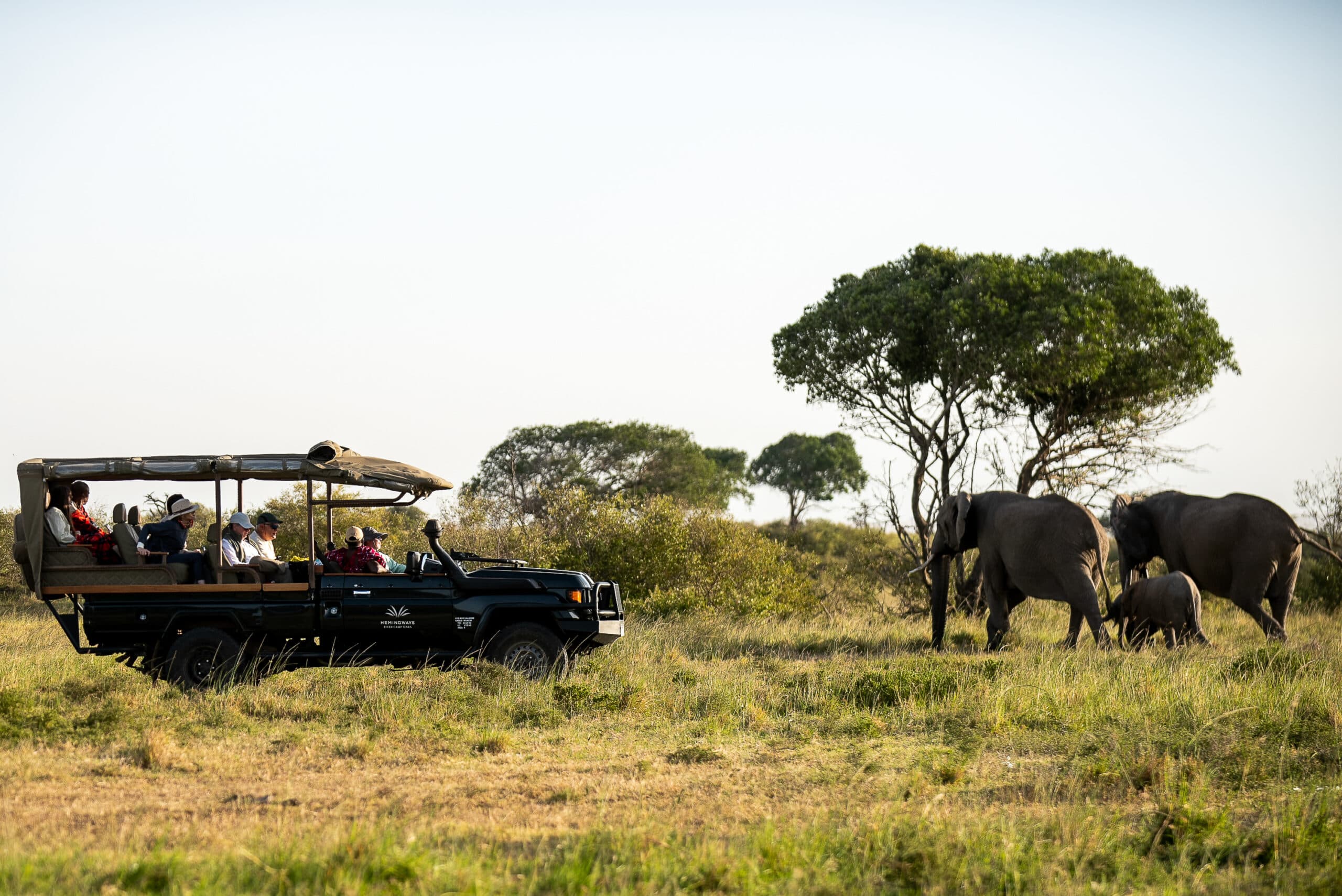 Kenya’s New Travel Insurance Requirement: What Agents Need to Know