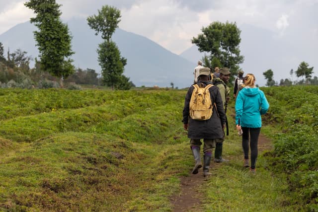 Hemingway's Collection Rwanda Rwanda Primates & Cultural Discovery - Hemingways Safaris